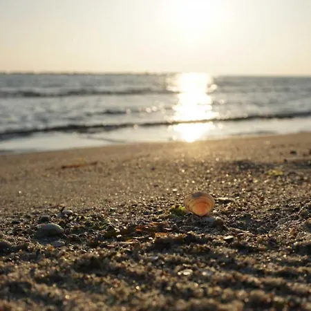 Lejlighed Strandvilla 17 - Seenelke Baabe